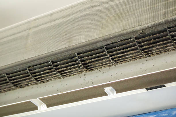 Best Affordable HVAC Duct Cleaning  in Spencerville, NM